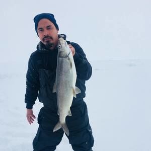 Meet your Posher, Francisco